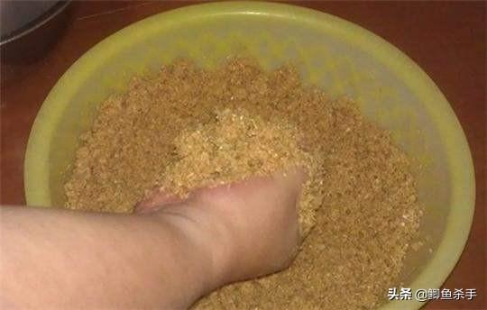 草鱼最爱吃的饵料不在渔具店，而在自己家！这三样东西混合就行