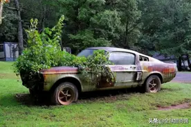 28个被人类遗忘的角落，最终被大自然无情地反噬图片