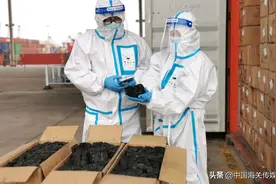 青岛海关查获40余吨禁止出口原木木炭图片