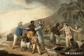 美国境内的黑奴史，因为本土棉花种植业的发展达到了极盛图片