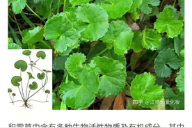 不走心的化妆品文案图片