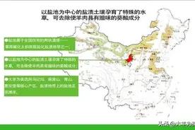 大羊为美观点：好羊肉的标准从哪里来？图片
