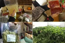 《逆风飞扬》丨唤醒大山活力的电商经济图片