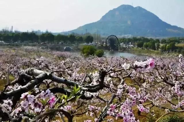 这些无锡老地名，都知道的人一定是正宗老无锡！