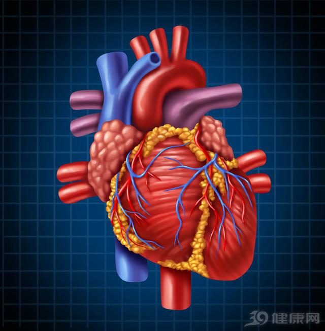 窦性心律是怎么回事(心电图结果窦性心律是怎么回事)-第2张图片