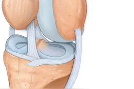 上下楼弯腿时膝盖痛是什么原因，如何摆脱疼痛？请看此文图片