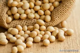 农科院一氧化碳合成蛋白质是怎么做到的？对中国有多大的意义？图片