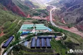 马大五德：放羊娃的致富路图片