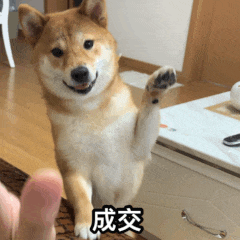 һֻҪǮ
