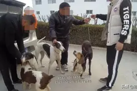 四人逮野兔被齐河警方当场抓获图片