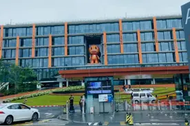 阿里女员工案最终结果出炉，谁是这场风波的最大受益人图片