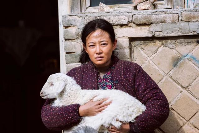 ��ʮ��ڱ����ʮ����Ӱ�����캣�ж�����7����1���ƿڱ��컨��