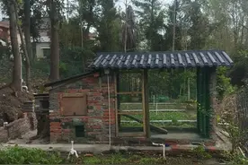 自己动手砌鸡舍图片