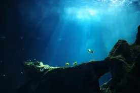 在海底做实验，这个指哪打哪的探针帮了大忙图片