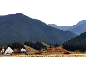 秋日去乌鲁木齐南山爬野山，风景优美等同景区，没有门票闹心图片