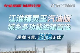 「有好车」江淮精灵王汽油版，逃不过的实力出道图片