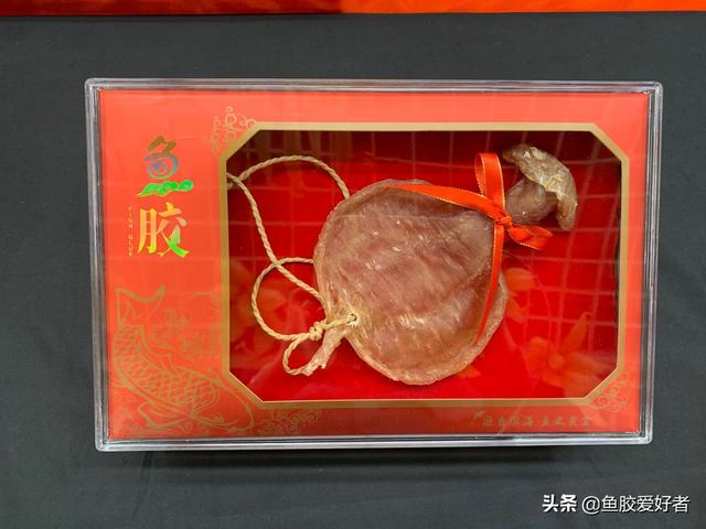 甲肚鱼胶功效 甲肚鱼胶功效与作用是什么