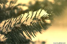 过来人的忠告：你梦里见到的人，如非必要，还是不要见了吧图片