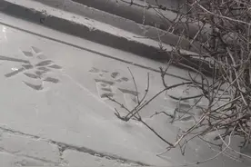 青龙湖镇的贞节牌坊图片