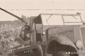 二战德军火炮合集图片