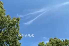 你还在用玻璃杯泡白茶吗？完整的喝懂茶味，白瓷盖碗是标配！图片