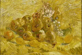 每日一画｜梵高《柑橘、柠檬、梨和葡萄》图片