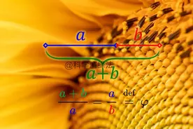 当美与数学相遇时——欣赏我们身边的12个迷人之数(第二部分)图片