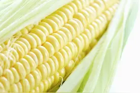 吃玉米对子宫和卵巢有好处吗图片