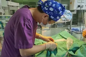 2.6公斤新生儿全身散发甜甜香味，出汗或尿尿后香味更明显！医生：患上了罕见病图片