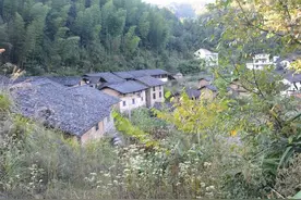 工地300元/天，在家的农民却说：“不羡慕”，为什么？图片
