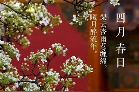 散文：我喜欢四月图片