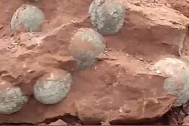 小伙在工地上开挖掘机，干活时挖出的土很奇怪，仔细一看不淡定了图片