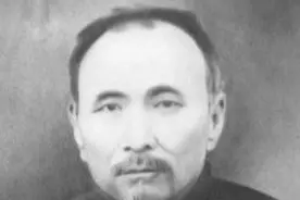霍元甲和慈禧保镖比武，为何只踢两脚？众人：他不敢踢第三脚图片