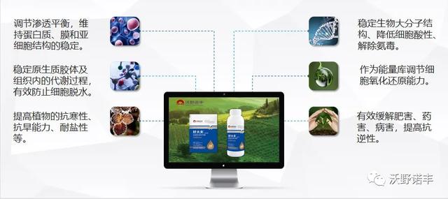国家重点研发计划产业化「2021国内酶解氨基酸叶面肥的新旗舰」