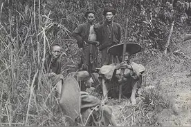 民间故事：清朝乾隆年间，猎人捕获一只黑鸟，老秀才：这是青鸾图片