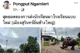3名小学生骑大象上学引关注图片