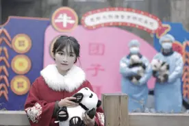 太有爱！全球唯一一位“熊猫姐姐”李子柒为双胞胎大熊猫庆生图片