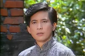 杜宇声声不如归去，琼瑶剧集《庭院深深》，刘雪华秦汉主演（上）图片
