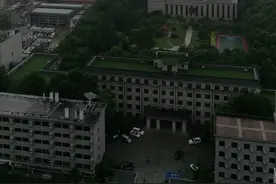 西安暴雨又来，打伞都没用！一只小青蛙在雨中倔强前行图片
