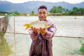 肇庆肥美文㞧鲤“鲜”艳大湾区图片