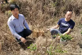 捕鸟也犯法?曲靖两兄弟被罚1.3万元!图片