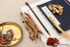 中医入门基础：数百味中药功效总结图片