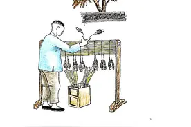 《虫虫虫虫飞》图片