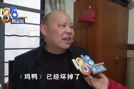 托人从老家寄土鸡土鸭，打开想吃全坏了图片
