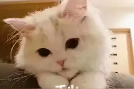 消防员小哥哥单身的原因？大揭秘！图片