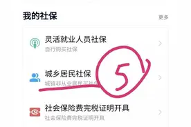 广东税务怎么交城乡医保图片