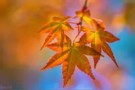 52岁女人自述：和健身教练学游泳，本意是锻炼，却毁了我的后半生图片