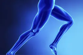 人体206块骨头怎么分类？图片