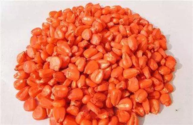 玉米种植,掌握好这10个小技巧