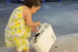 3岁女娃买新衣，拎袋子的动作让宝妈笑翻，网友：小时候的我图片